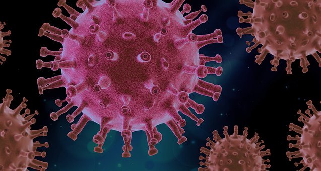 human papillomavirus bacteria helminth therapy sibo